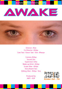 AVFF2015_awake